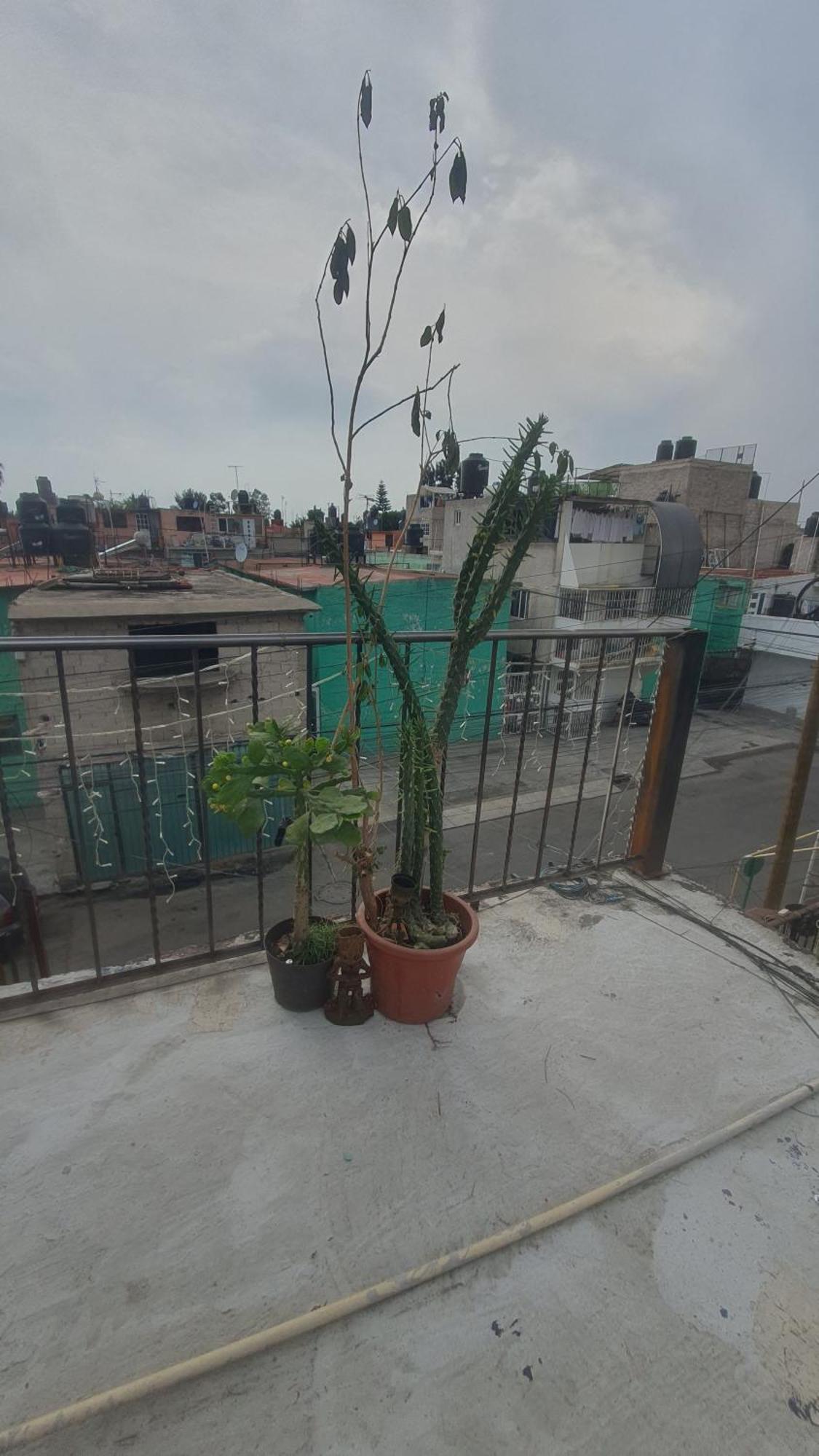 Casitas Apartamento Cidade do México
